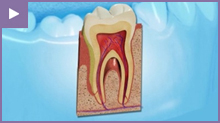 Periodontics